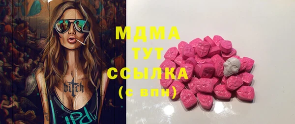 индика Бородино