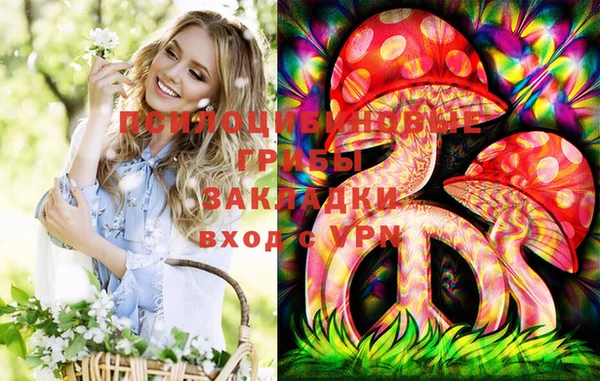 индика Бородино