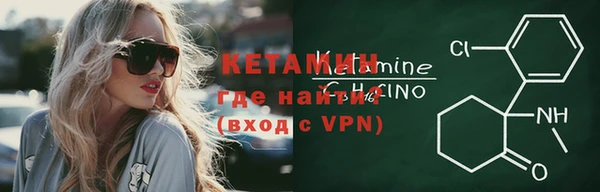 индика Бородино