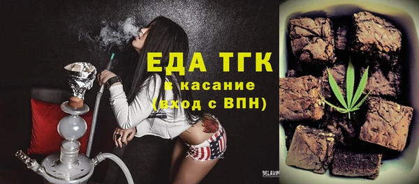 индика Бородино