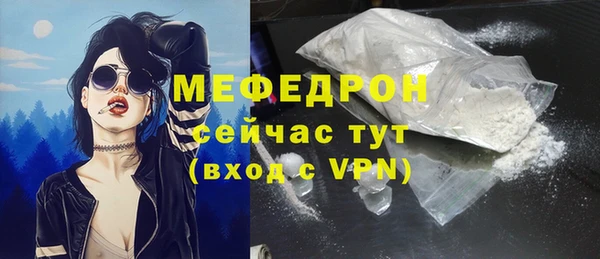 стаф Верея